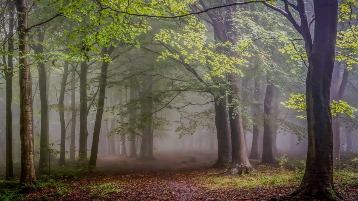 Landscape photo: coastal